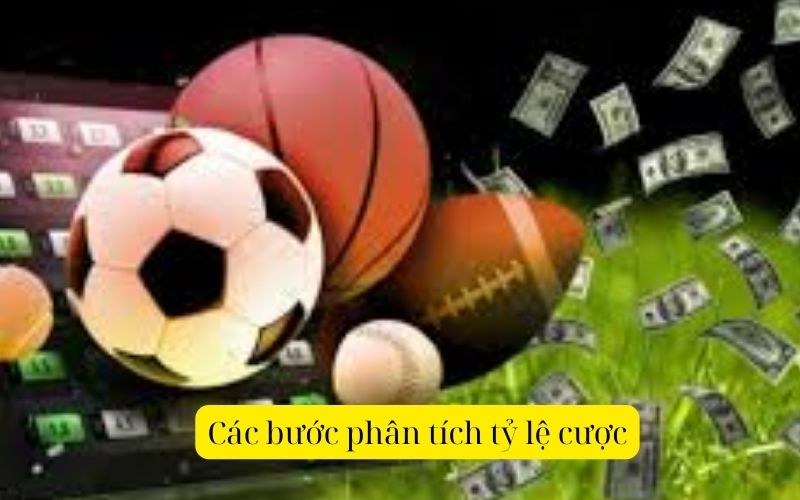 Các bước phân tích tỷ lệ cược