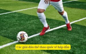 Các giải đấu thể thao quốc tế hấp dẫn