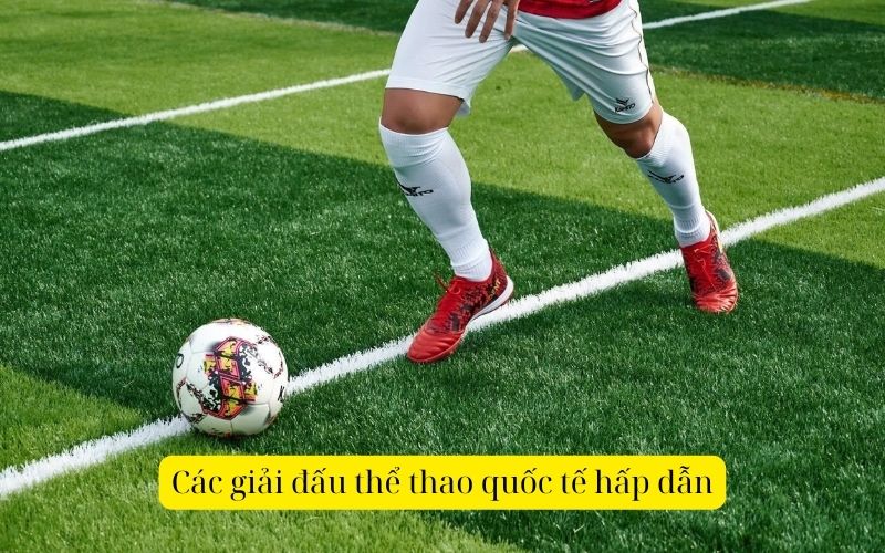 Các giải đấu thể thao quốc tế hấp dẫn