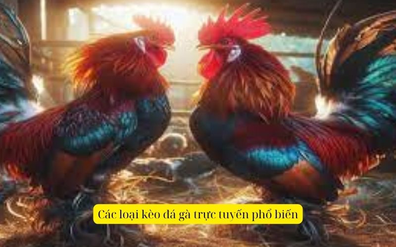 Các loại kèo đá gà trực tuyến phổ biến