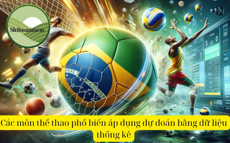 Các môn thể thao phổ biến áp dụng dự đoán bằng dữ liệu thống kê