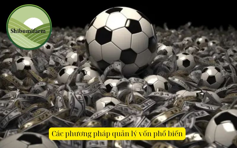 Các phương pháp quản lý vốn phổ biến