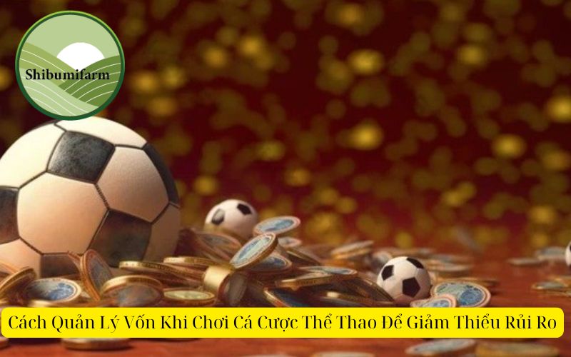 Cách Quản Lý Vốn Khi Chơi Cá Cược Thể Thao Để Giảm Thiểu Rủi Ro