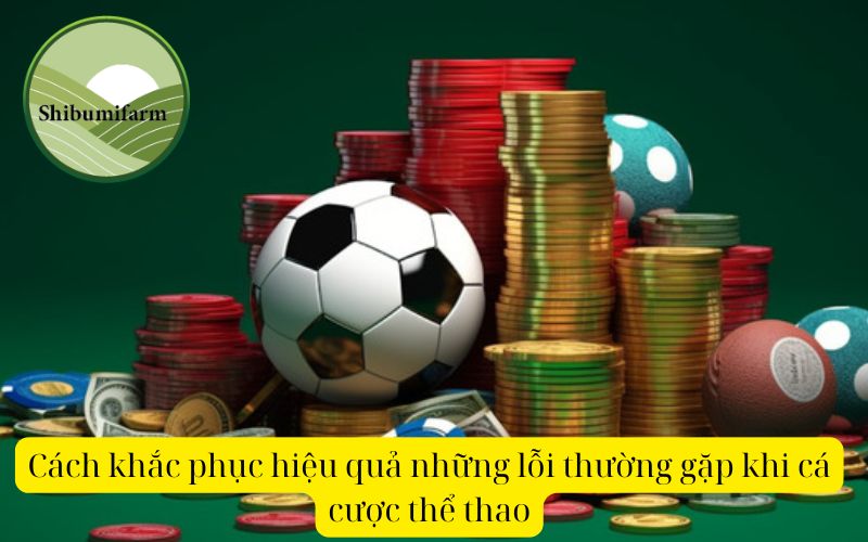 Cách khắc phục hiệu quả những lỗi thường gặp khi cá cược thể thao