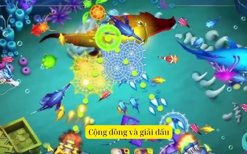 Cộng đồng và giải đấu