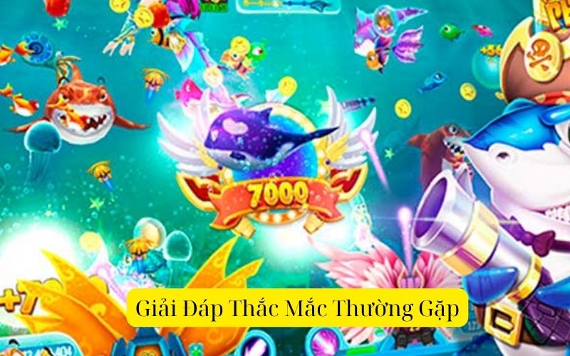 Giải Đáp Thắc Mắc Thường Gặp