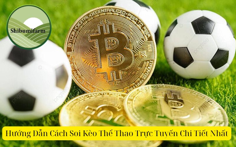 Hướng Dẫn Cách Soi Kèo Thể Thao Trực Tuyến Chi Tiết Nhất