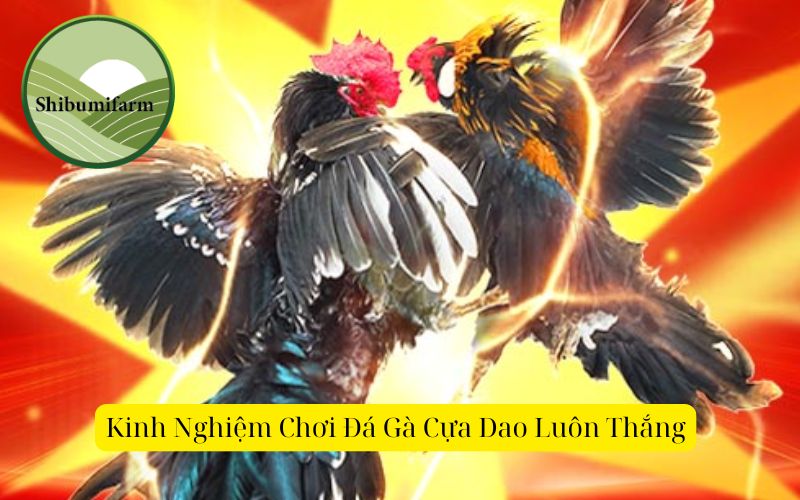 Kinh Nghiệm Chơi Đá Gà Cựa Dao Luôn Thắng