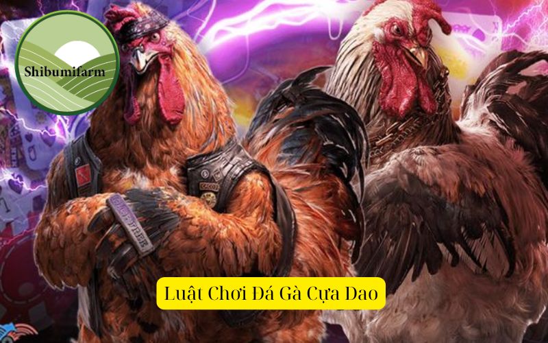 Luật Chơi Đá Gà Cựa Dao