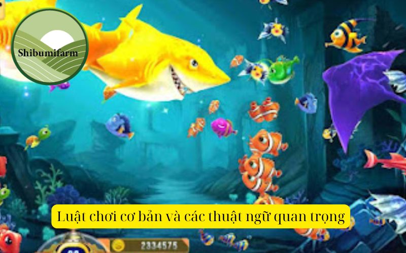 Luật chơi cơ bản và các thuật ngữ quan trọng