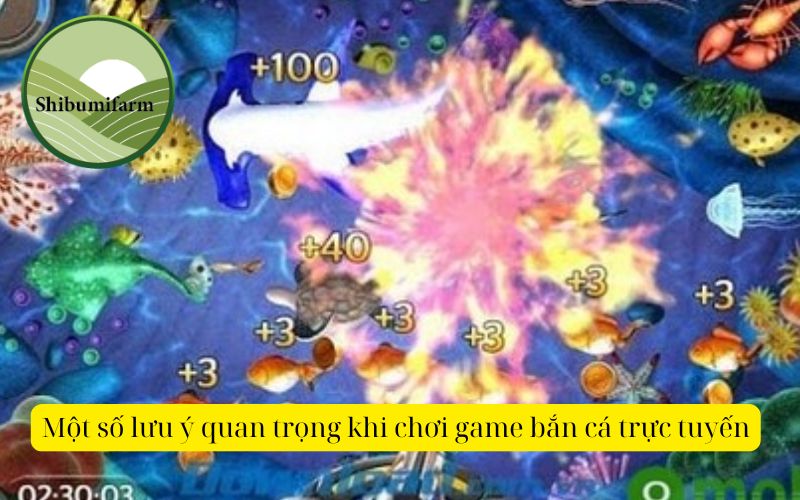Một số lưu ý quan trọng khi chơi game bắn cá trực tuyến