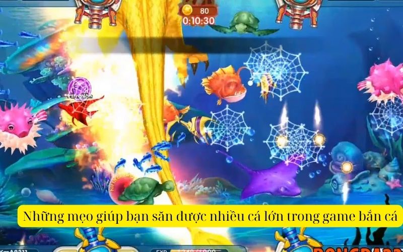 Những mẹo giúp bạn săn được nhiều cá lớn trong game bắn cá