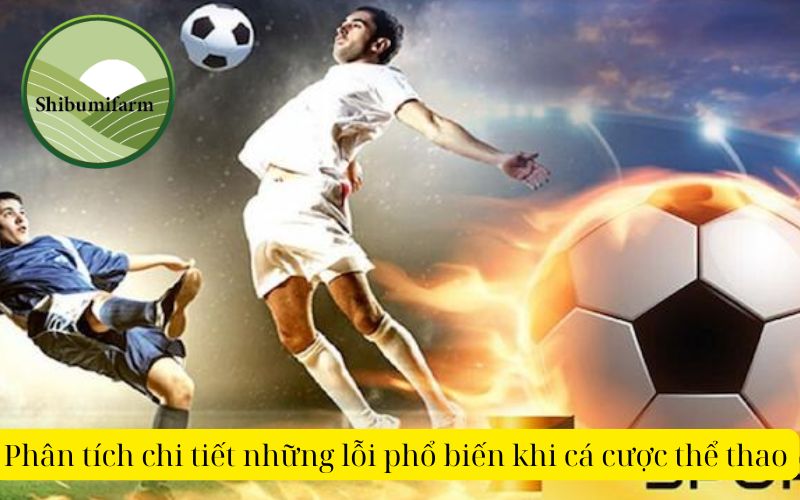 Phân tích chi tiết những lỗi phổ biến khi cá cược thể thao