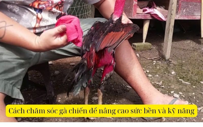 Phòng và trị bệnh