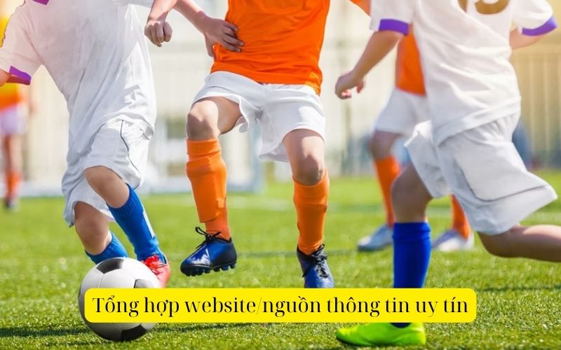 Tổng hợp website/nguồn thông tin uy tín