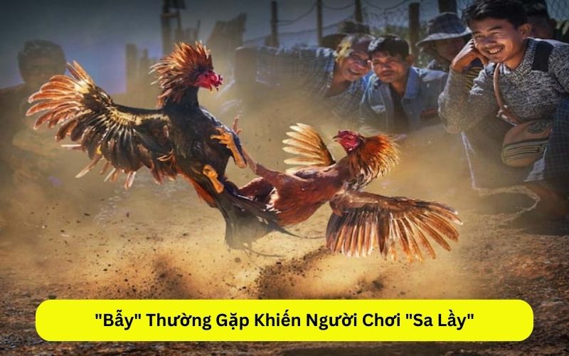 Bẫy Thường Gặp Khiến Người Chơi Sa Lầy