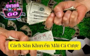 Cách Săn Khuyến Mãi Cá Cược