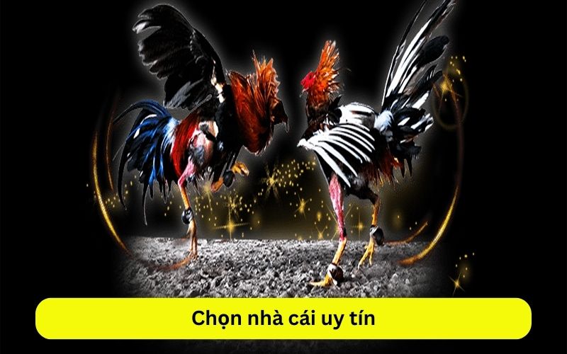 Chọn nhà cái uy tín