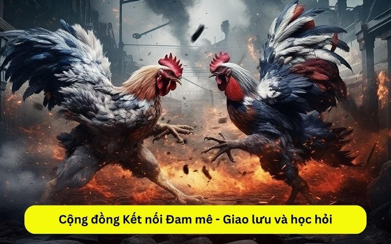 Cộng đồng Kết nối Đam mê - Giao lưu và học hỏi