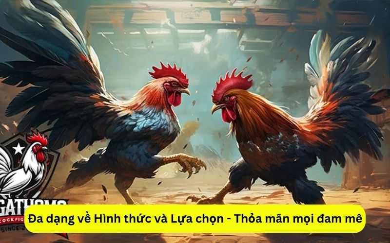 Đa dạng về Hình thức và Lựa chọn - Thỏa mãn mọi đam mê