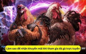 Làm sao để nhận khuyến mãi khi tham gia đá gà trực tuyến