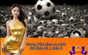 Winvn: Nền tảng cá cược thể thao số 1 châu Á