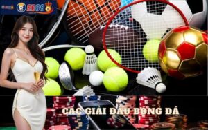 Các Giải Đấu Bóng Đá