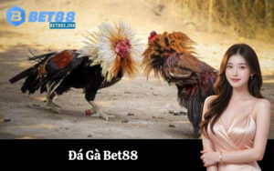 Đá Gà Bet88