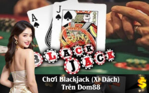 Chơi Blackjack (Xì Dách) Trên Dom88