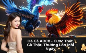 Đá Gà ABC8 - Cược Thật, Gà Thật, Thưởng Lớn Mỗi Ngày