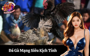 Đá Gà Mạng Siêu Kịch Tính