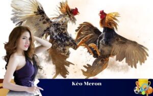 Kèo Meron
