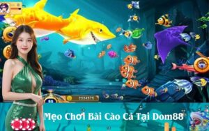 Mẹo Chơi Bài Cào Cá Tại Dom88