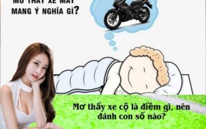 Mơ thấy xe cộ là điềm gì, nên đánh con số nào?