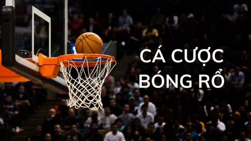 cá cược bóng rổ
